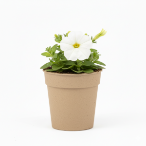 Surfinia Table White